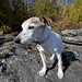 Casey Little Photo 33