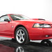 Crystal Ford Photo 10