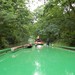 Jill Helms Photo 20