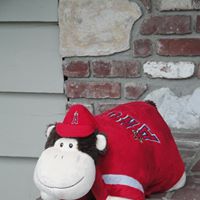 Diane Young Photo 24