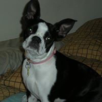 Ann Strain Photo 26