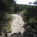 Sandy Straub Photo 7