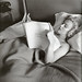 Marilyn Carroll Photo 16