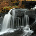 Chris Weeks Photo 28