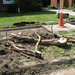 Ken Root Photo 17