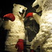 David Hoey Photo 22