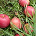 Wendy Tobin Photo 16