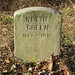 Nettie Hill Photo 14