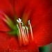 Oanh Trinh Photo 27