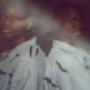 Steven Mitchell Photo 27