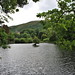 Patti Craig Photo 16