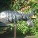 Roger Fish Photo 10
