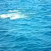 Barbara Inman Photo 33