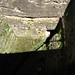 Rich Motes Photo 8