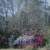 Sue Higginbotham Photo 15