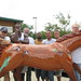 Aaron Crenshaw Photo 18