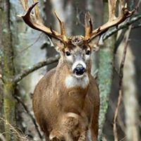 Richard Biddle Photo 6