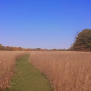 John Ambrose Photo 29