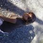 Nina Thomas Photo 14