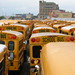 Nathan Buss Photo 17