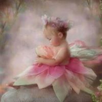 Susan Cate Photo 28