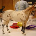 Brenda Metcalf Photo 14