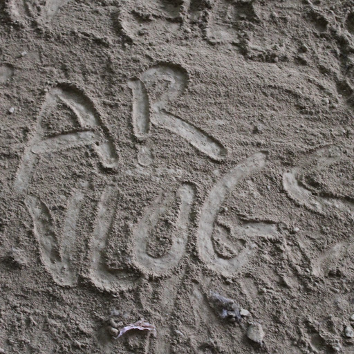 Alexander Rodgers Photo 12