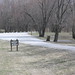 Robert Camp Photo 19