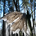 Forest Mcdonald Photo 7