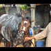 Juan Gonzales Photo 10