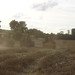John Parham Photo 13
