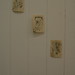 Amy Dolan Photo 35
