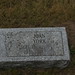 Joan York Photo 19