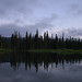 Dawn Cooper Photo 13