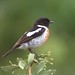 Christopher Helms Photo 21