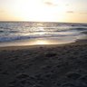 Traci Roberts Photo 33