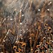 Heather Holton Photo 10
