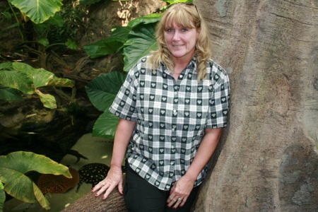 Lisa Shell Photo 6