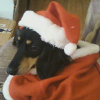 Denise Roper Photo 7