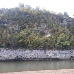 Amy Weis Photo 7