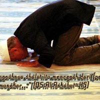 Ali Hamdan Photo 9