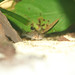 Cory Cross Photo 30