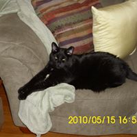 Nancy Bacon Photo 19