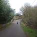 Patrick Whyte Photo 22