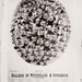 James Brinkerhoff Photo 8