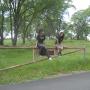Catherine Reynolds Photo 42