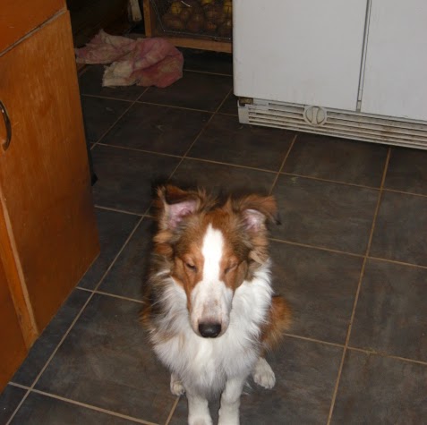Kevin Godwin Photo 39