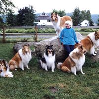Janet Holbrook Photo 9