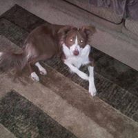James Sherrill Photo 37