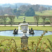 Deborah Hedges Photo 7